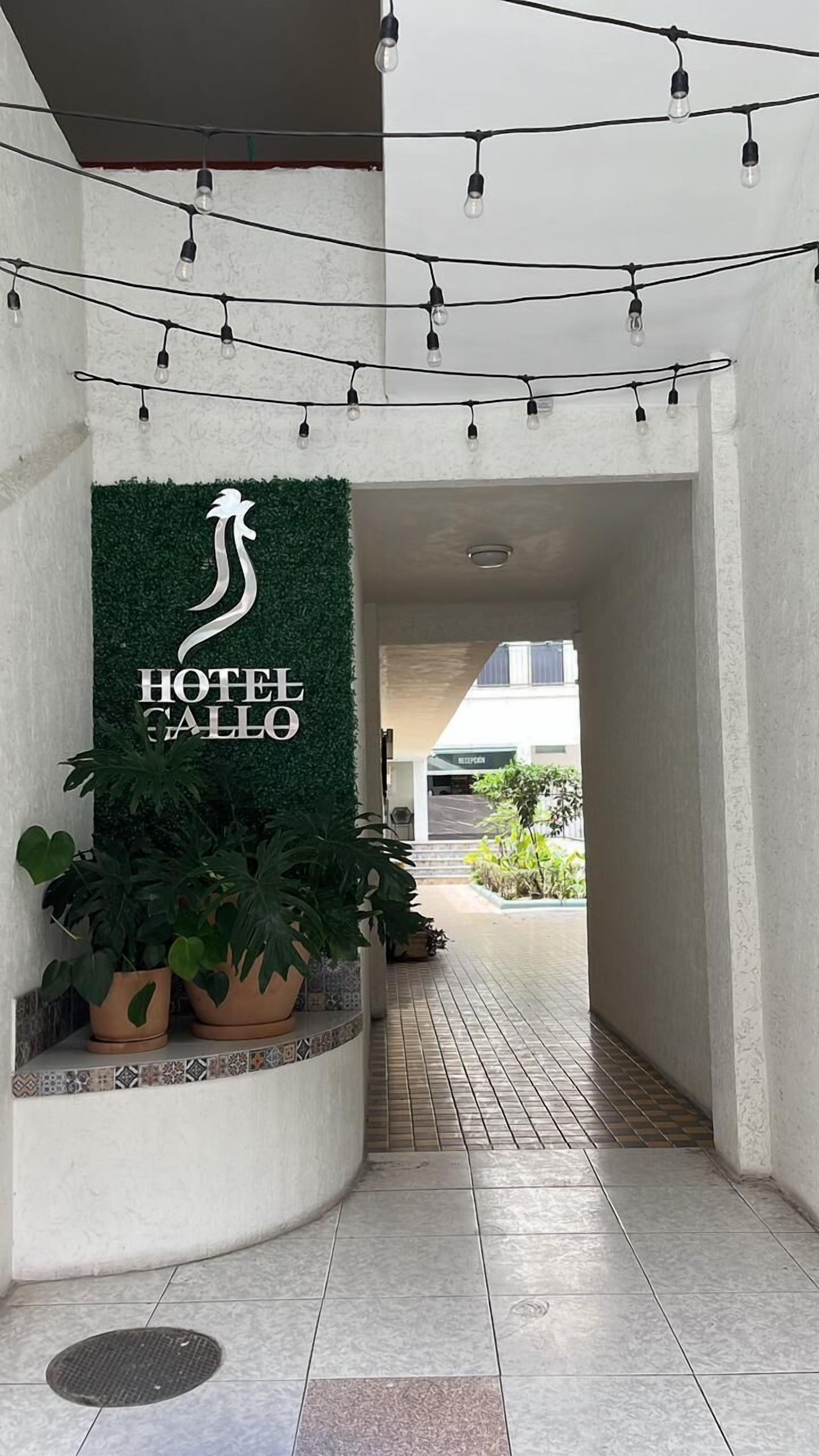 Foto - Hotel Gallo