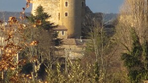A medieval castle with a round tower, surrounded by trees and vegetation.