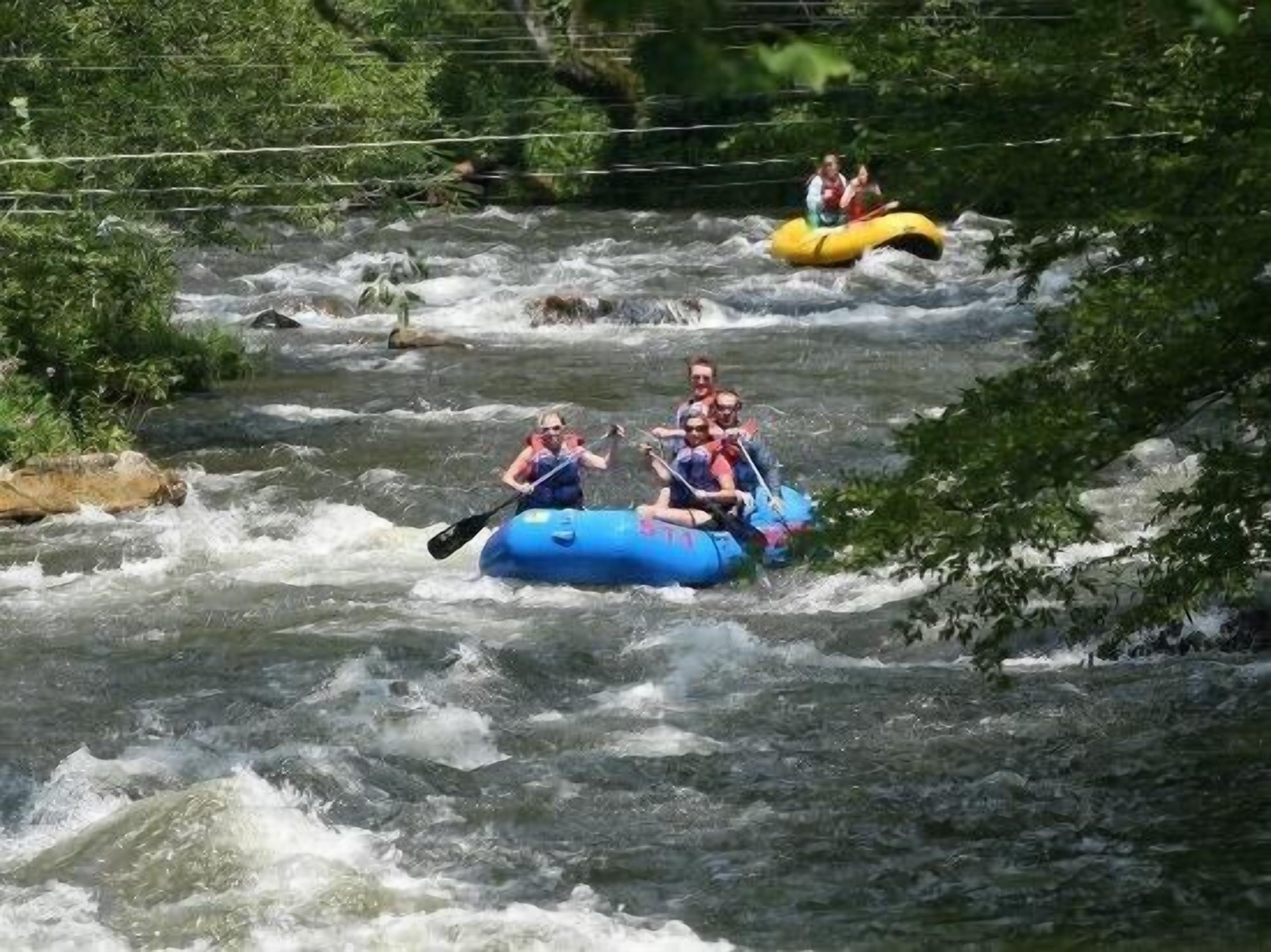 Een groep mensen die op een rivier aan het raften zijn, omringd door groen.
