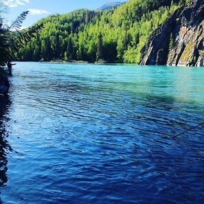 Ein Fluss mit klarem, blauem Wasser, umgeben von dichtem Grünwald und steilen Felsen.
