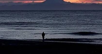 Apartment less than a mile from the mouth of the Kenai River and beach access!