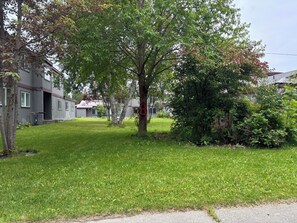 Zona residencial con casas, césped cuidado y un árbol con un comedero para pájaros.