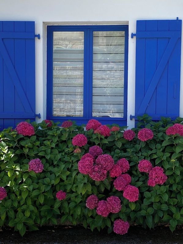 Detalle exterior