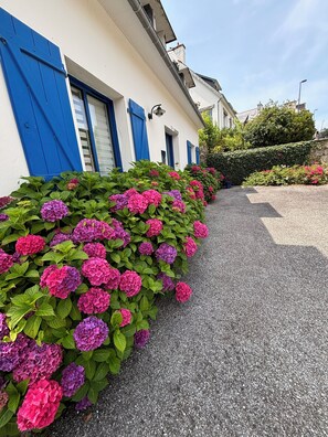 Detalle exterior