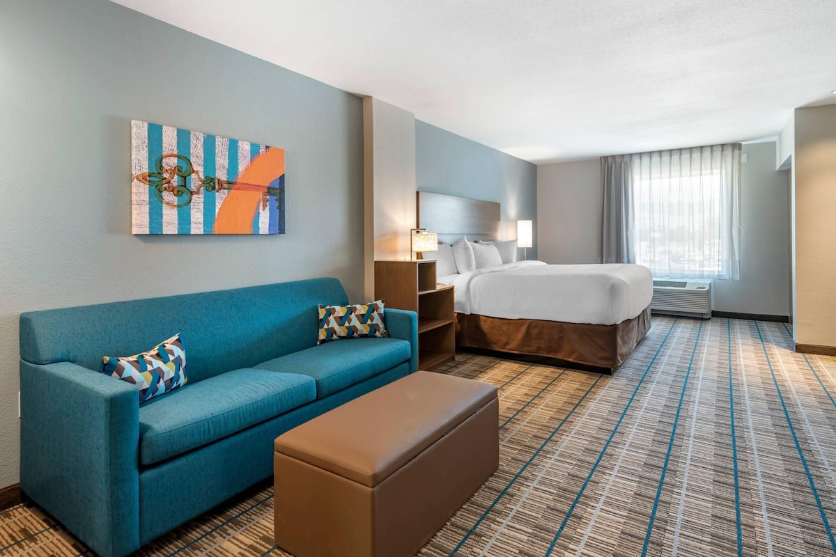 Suite, 1 très grand lit, accessible aux personnes à mobilité réduite, non-fumeur (Efficiency)