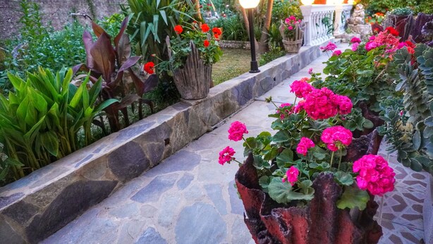 Uma trilha de pedra serpenteia por um jardim com diversos vasos de plantas e flores.