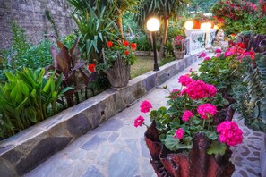 A stone pathway leading through a garden with various potted plants and flowers.