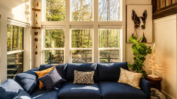 Um quarto acolhedor com um sofá azul, várias janelas e uma foto de um cachorro emoldurada.