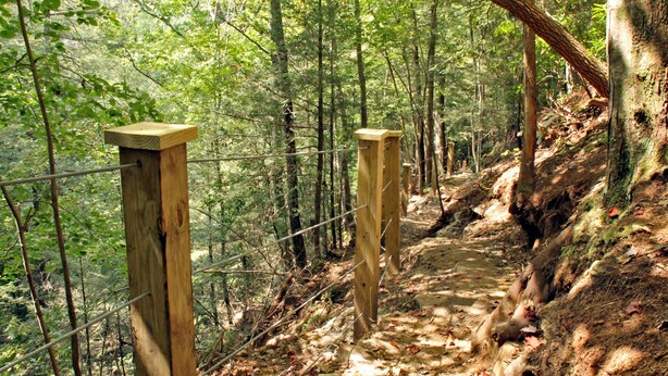 A forested hiking trail with wooden posts and a wire fence. - The Woods at The Retreat at Deer Lick Falls (Monteagle)