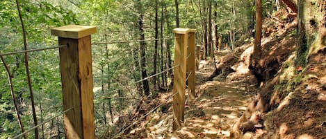 A forested hiking trail with wooden posts and a wire fence.
