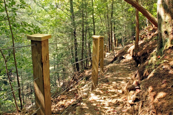Sendero boscoso para excursionistas con postes de madera y una cerca de alambre.
