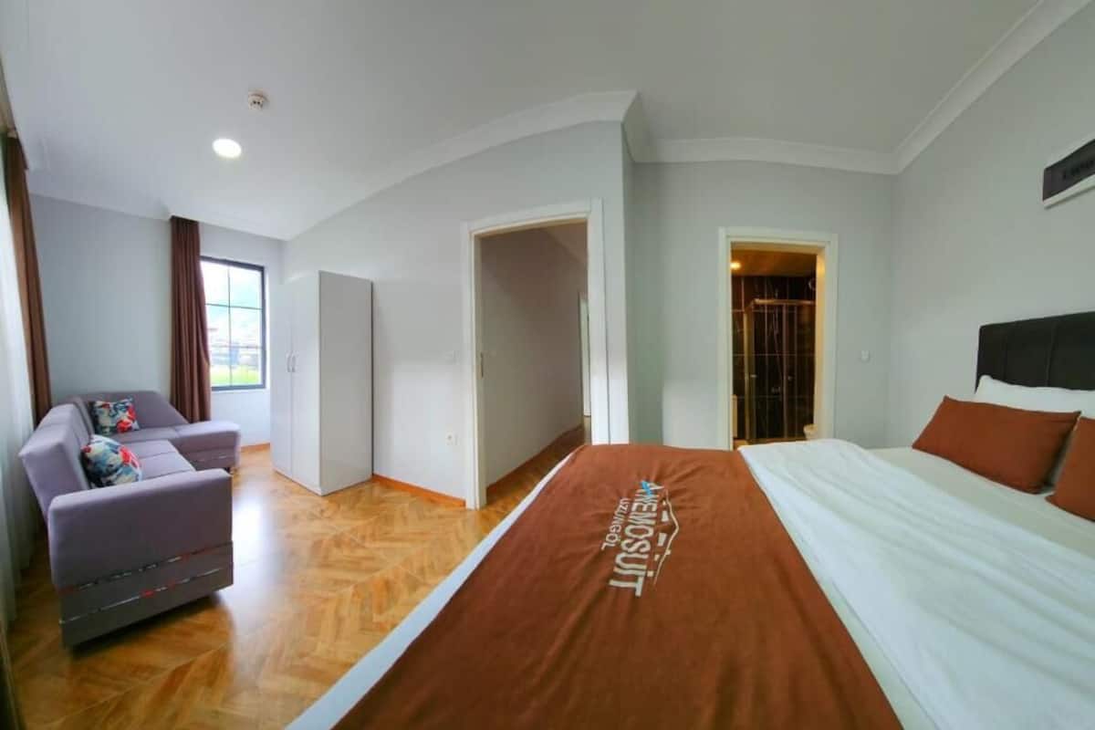 Une chambre d’hôtel avec un lit, un canapé et une armoire.