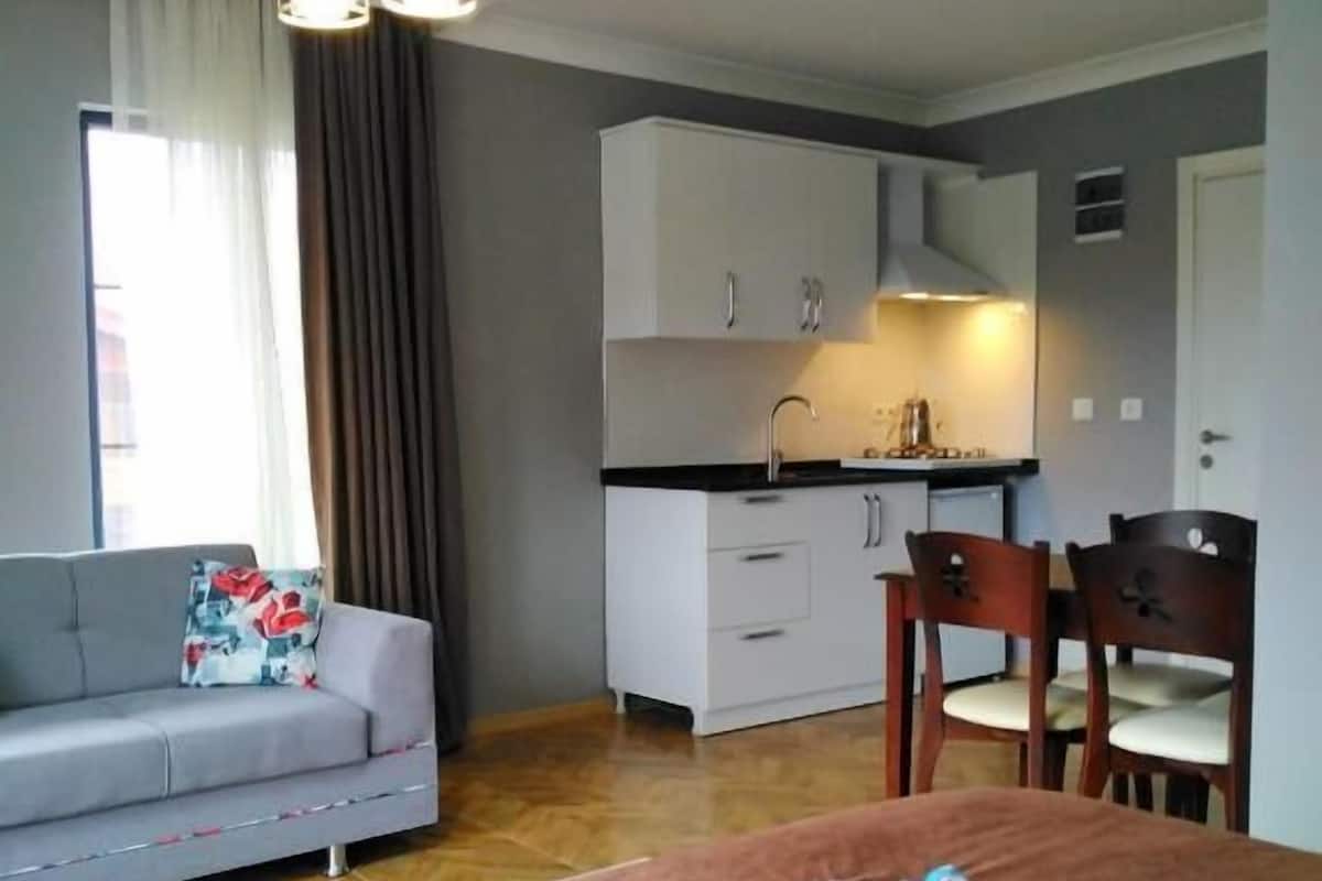 Un espace de vie compact comprenant un coin cuisine, un canapé, une table à manger avec des chaises et une grande fenêtre avec des rideaux.