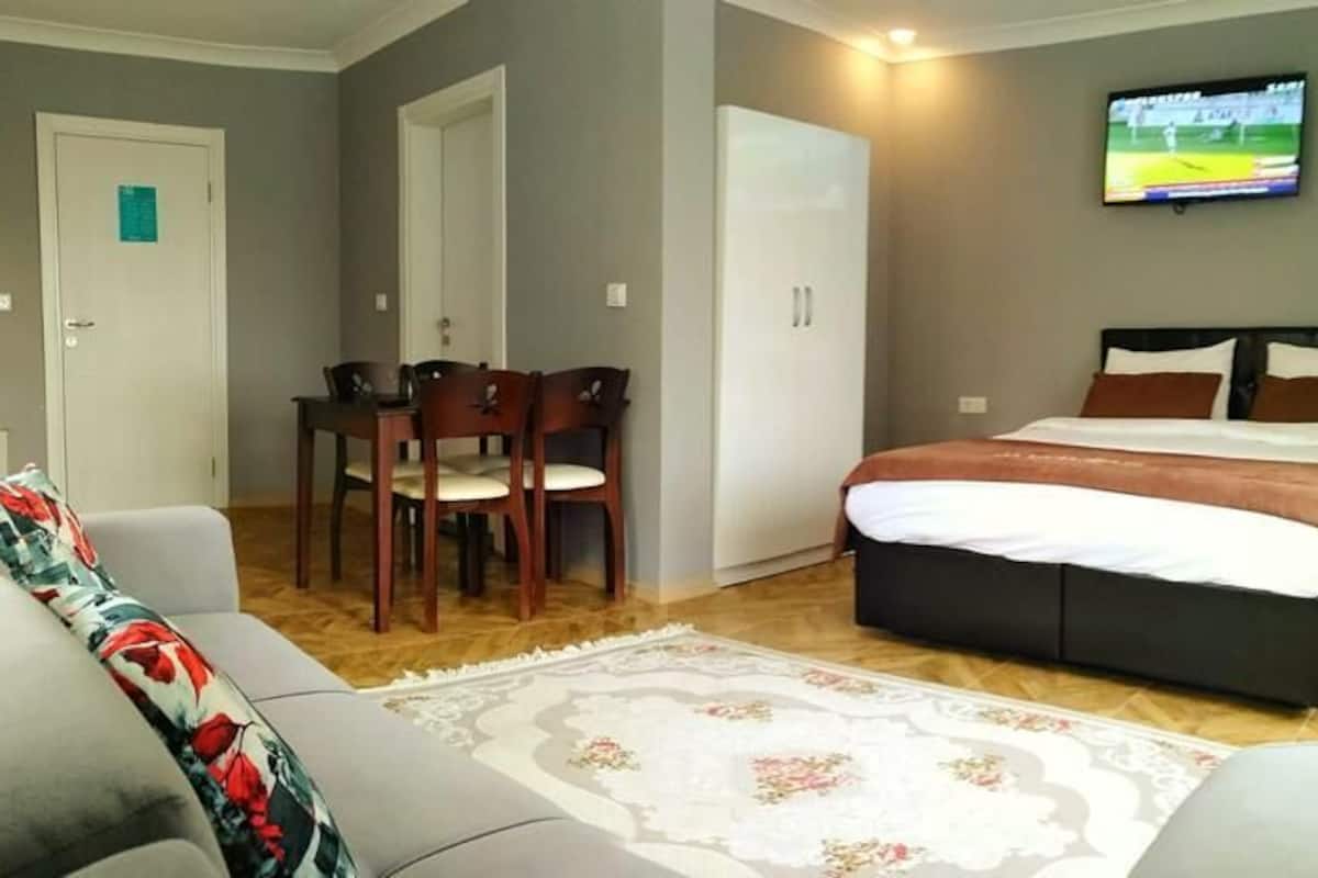 Une chambre à coucher avec un lit, une télévision, un bureau et une chaise.