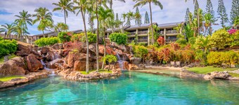 Couples Studio 1205, Mt View, Kitchenette, Washer Dryer, Add'l Resort Fees