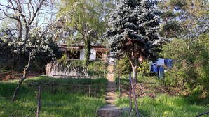 Un sentier de jardin mène à un bâtiment dont le toit est recouvert de tuiles rouges, et qui est entouré d’une végétation luxuriante et d’arbres en fleurs.