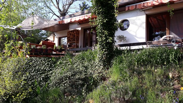 Une maison avec un jardin, une terrasse en bois et une pergola.