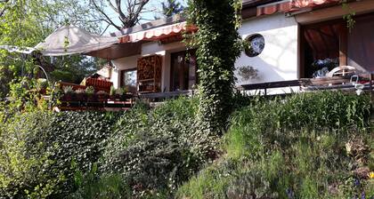 Bungalow on the outskirts with terrace under mature trees