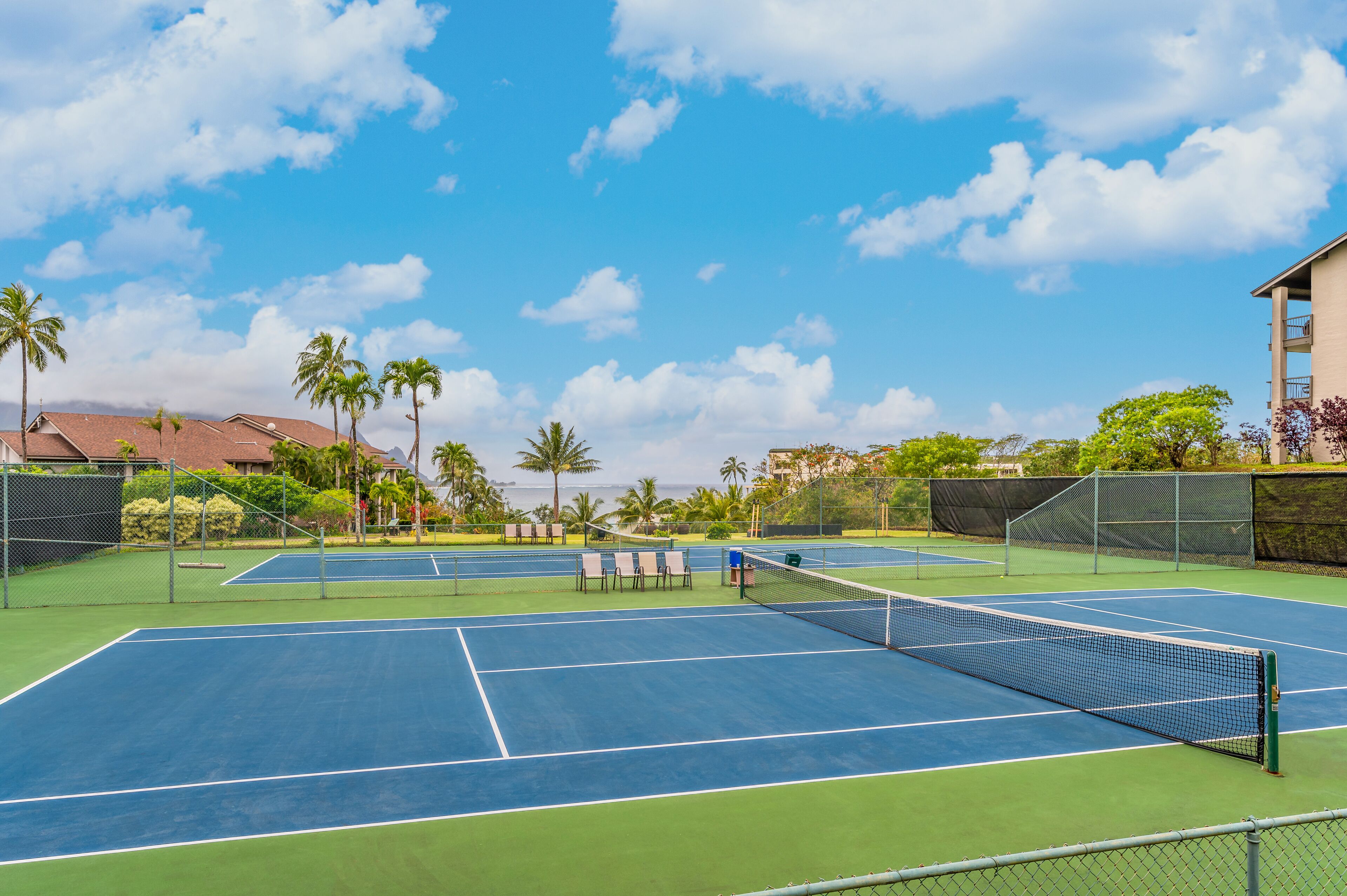 A tennis court with a net, surrounded by palm trees and a clear sky.