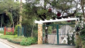 A gated entrance with a stone pillar and a sign. - Pousada Mar Deny Campos (Campos do Jordão)