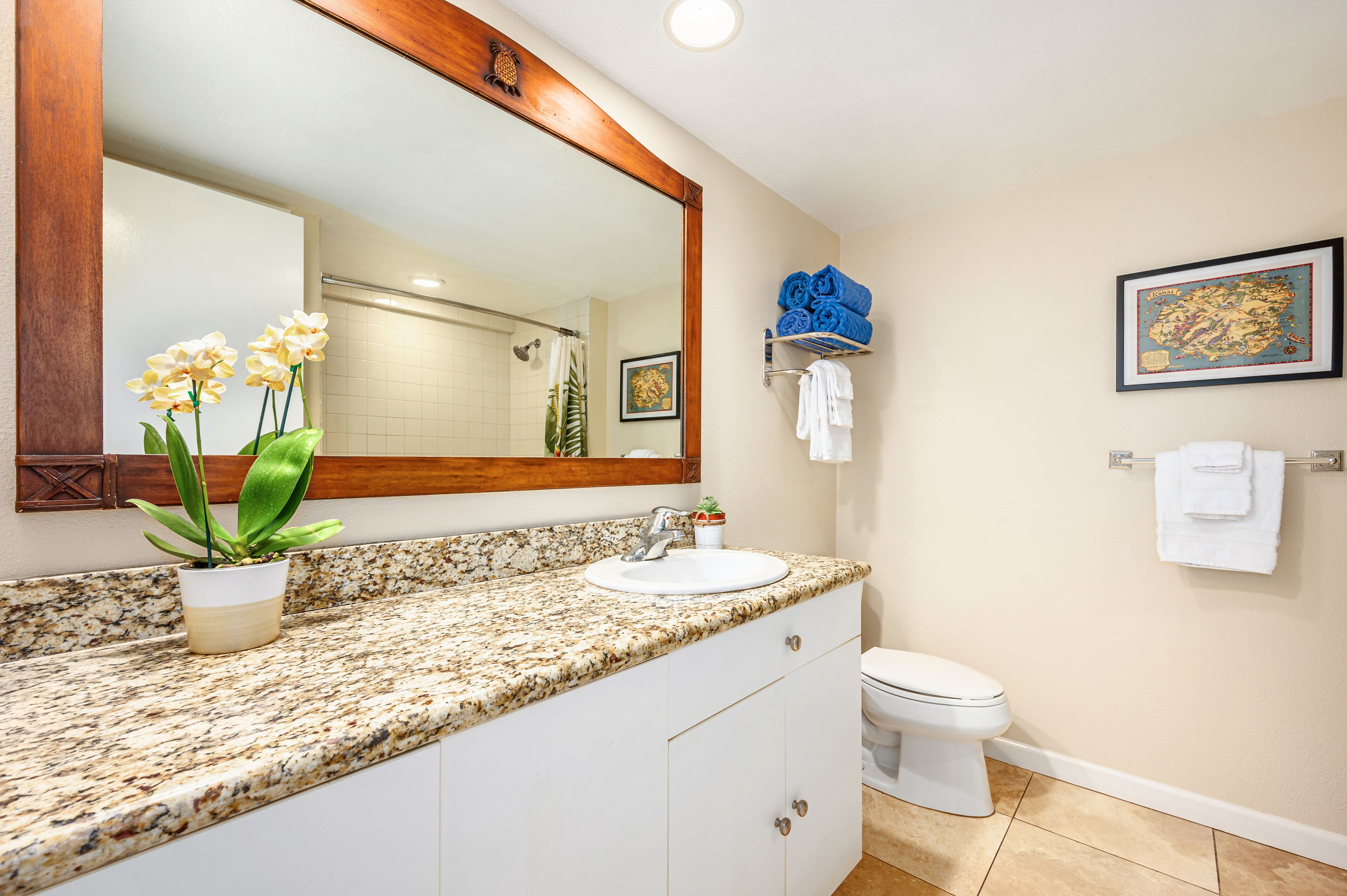 Une salle de bain avec un comptoir en granit, un lavabo blanc et un grand miroir. On y trouve une plante en pot sur le comptoir, un porte-serviettes avec des serviettes pliées et un tableau encadré au mur.