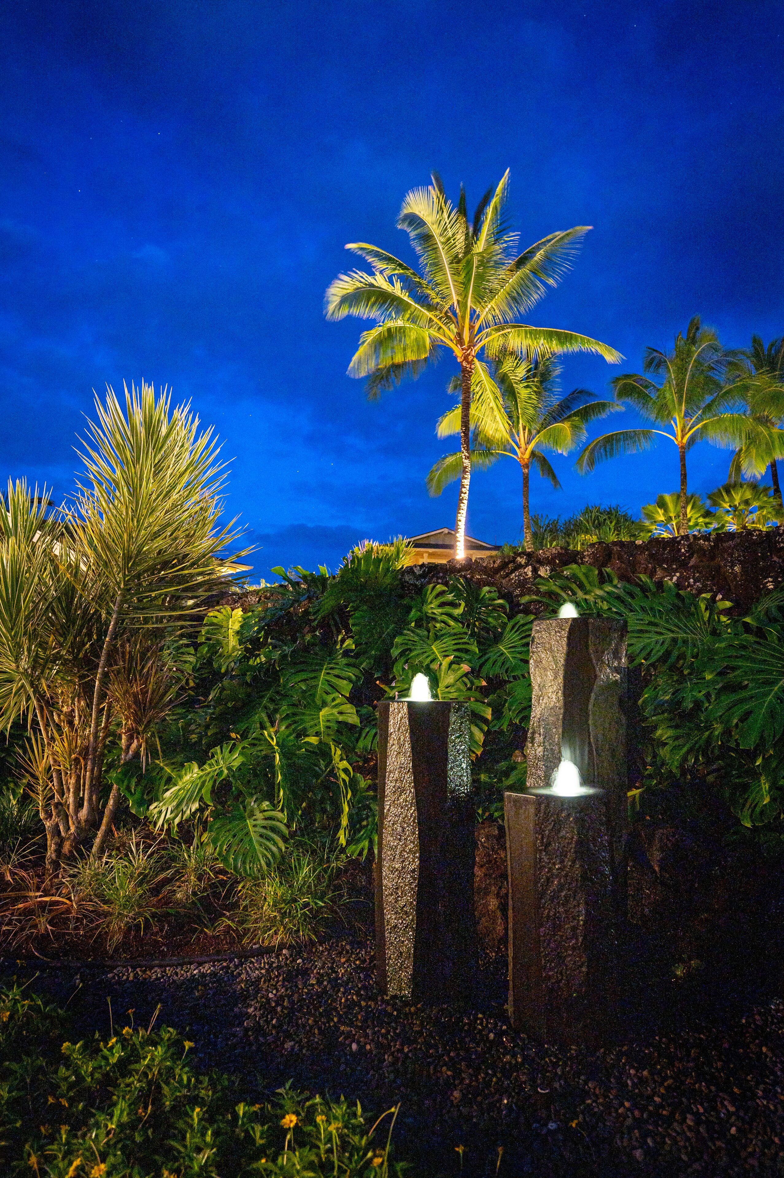 A tropical garden with palm trees and a water feature at night.