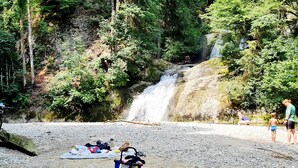 Una playa rocosa con una cascada al fondo, rodeada de un bosque denso.