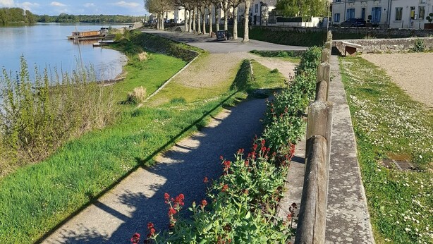 A riverside pathway with a gravel path, lined with flowering plants and trees. - Gite le Clos Ferré SWIMMING POOL TENNIS (Brézé)