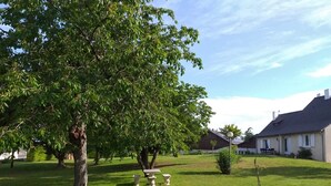 A well-maintained garden with a large tree, a stone bench, and a white building with a dark roof. - Gite le Clos Ferré SWIMMING POOL TENNIS (Brézé)