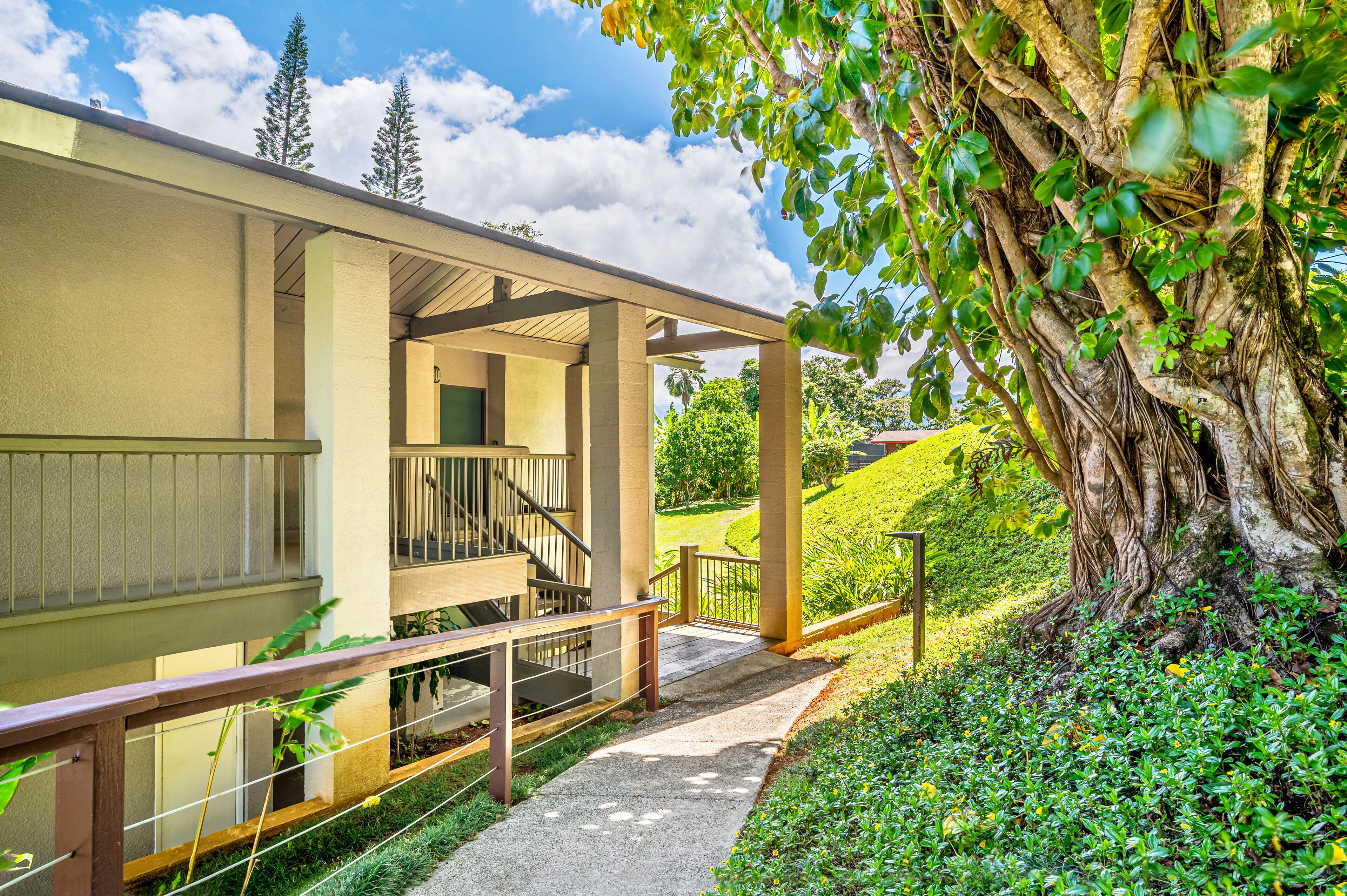 Terrain de l’hébergement 