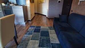 Un espacio habitable pequeño con kitchenette, un sofá y un tapete estampado.