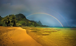 Experience the serene beauty of a tropical beach with lush green surroundings and a majestic mountainous backdrop.