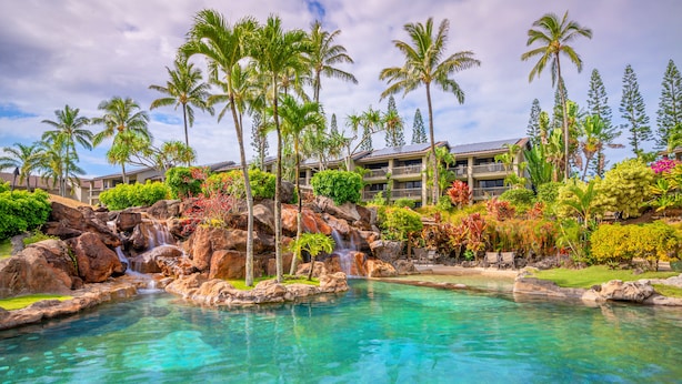 Un complexe hôtelier doté d’une piscine à eau cristalline, de palmiers et d’une cascade.
