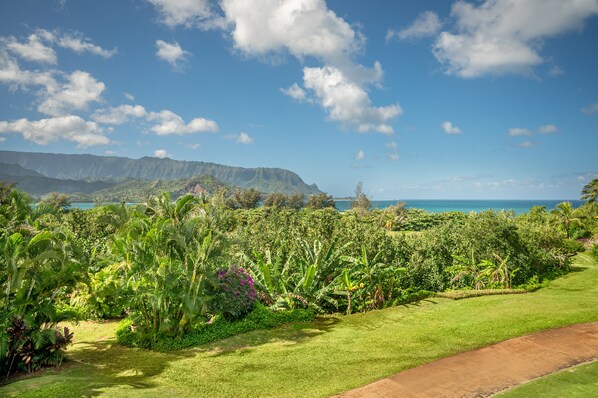A lush garden with a pathway leading to a view of the ocean and mountains.