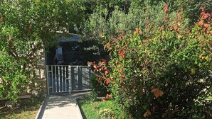 Un sendero de concreto que conduce a una zona cerrada, con follaje denso y diversas plantas.