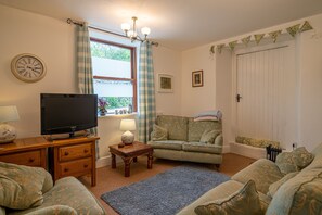 Télévision, cheminée, lecteur de DVD