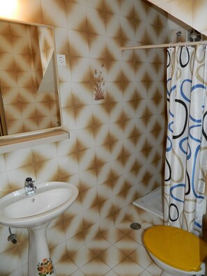 Regadera, secadora de cabello, toallas, jabón 