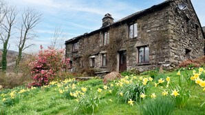 A stone building with multiple windows and a door, surrounded by a garden with daffodils and a pink flowering tree.