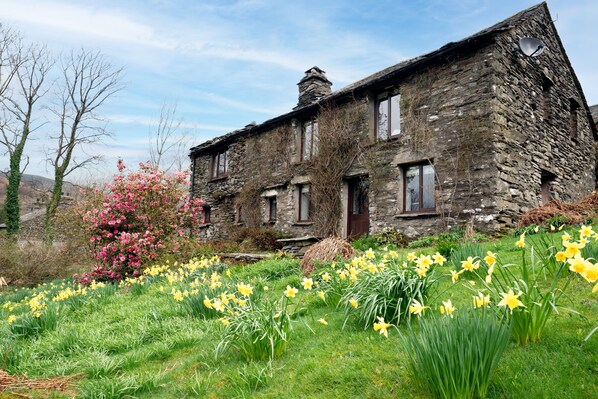 A stone building with multiple windows and a door, surrounded by a garden with daffodils and a pink flowering tree. - High Beckside -  Traditional Lakeland Cottage near Ullswater. Sleeps up to 7 guests (Penrith)