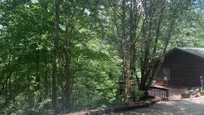 A wooden cabin surrounded by dense forest. - Blue Ridge Mountain Air (Old Fort)