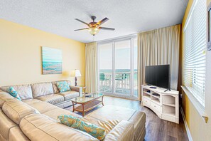 TV, DVD player, streaming services, video library