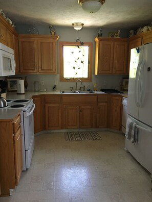 Frigorífico, microondas, horno y placa de cocina