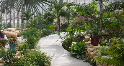 Cozy, Clean & Quiet. Home in the Hills. Close to DT Omaha; Market; Zoo; Gardens