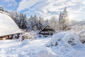 Exterior - Cosy Holiday Home Moritz with Garden, Balcony, Terrace & Wi-Fi (Siegsdorf)