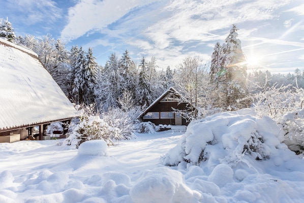 A wooden cabin surrounded by snow-covered trees, with a clear sky and sunlight.