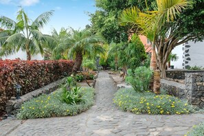 A stone pathway flanked by various plants and a hedge.