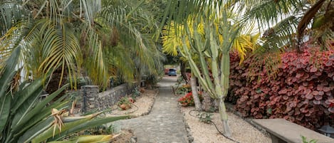 Jardines del alojamiento
