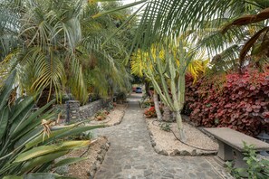 Un vialetto in pietra che si snoda attraverso un giardino con diverse piante e una panchina.