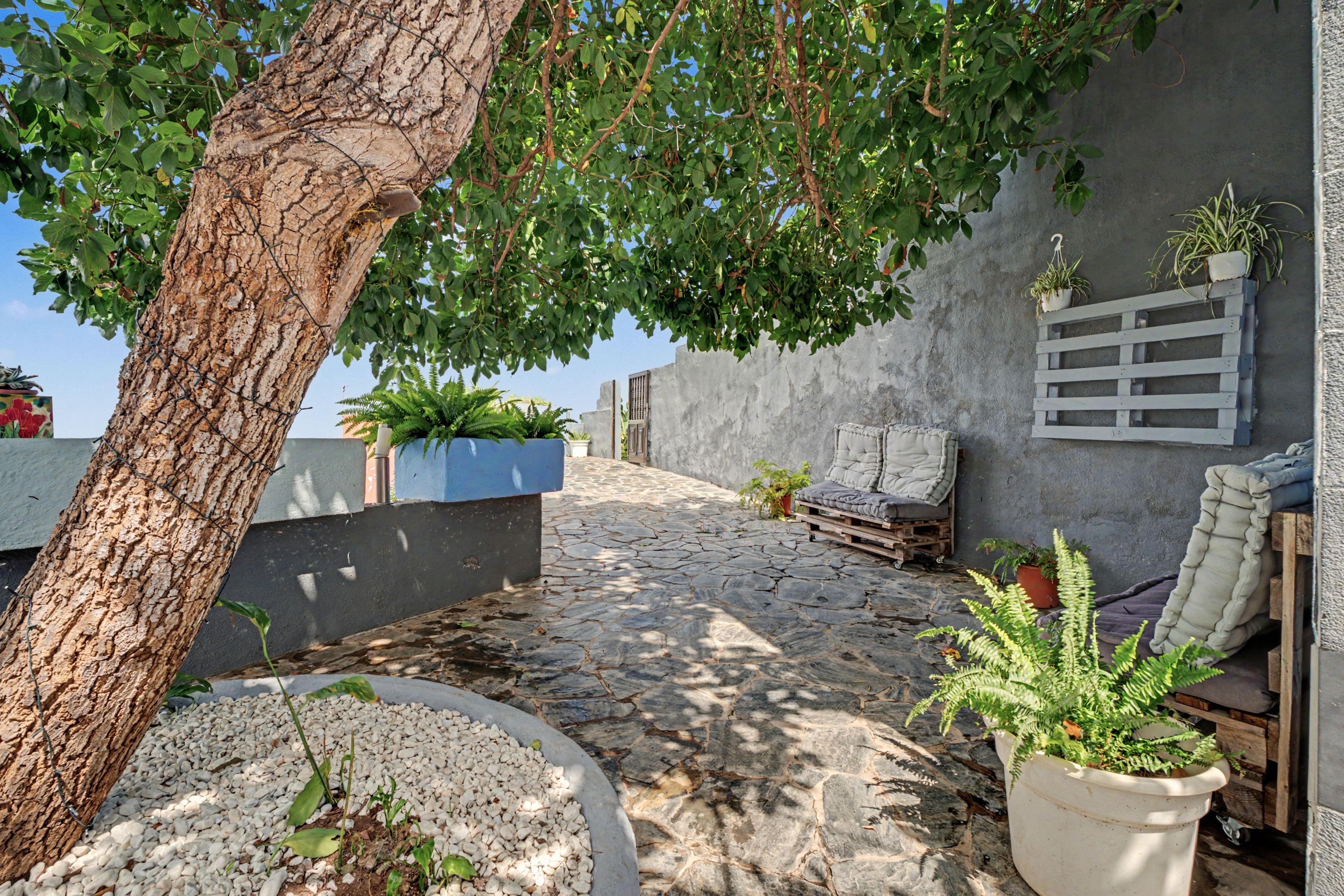 A stone-paved outdoor area with a tree, seating, and potted plants.