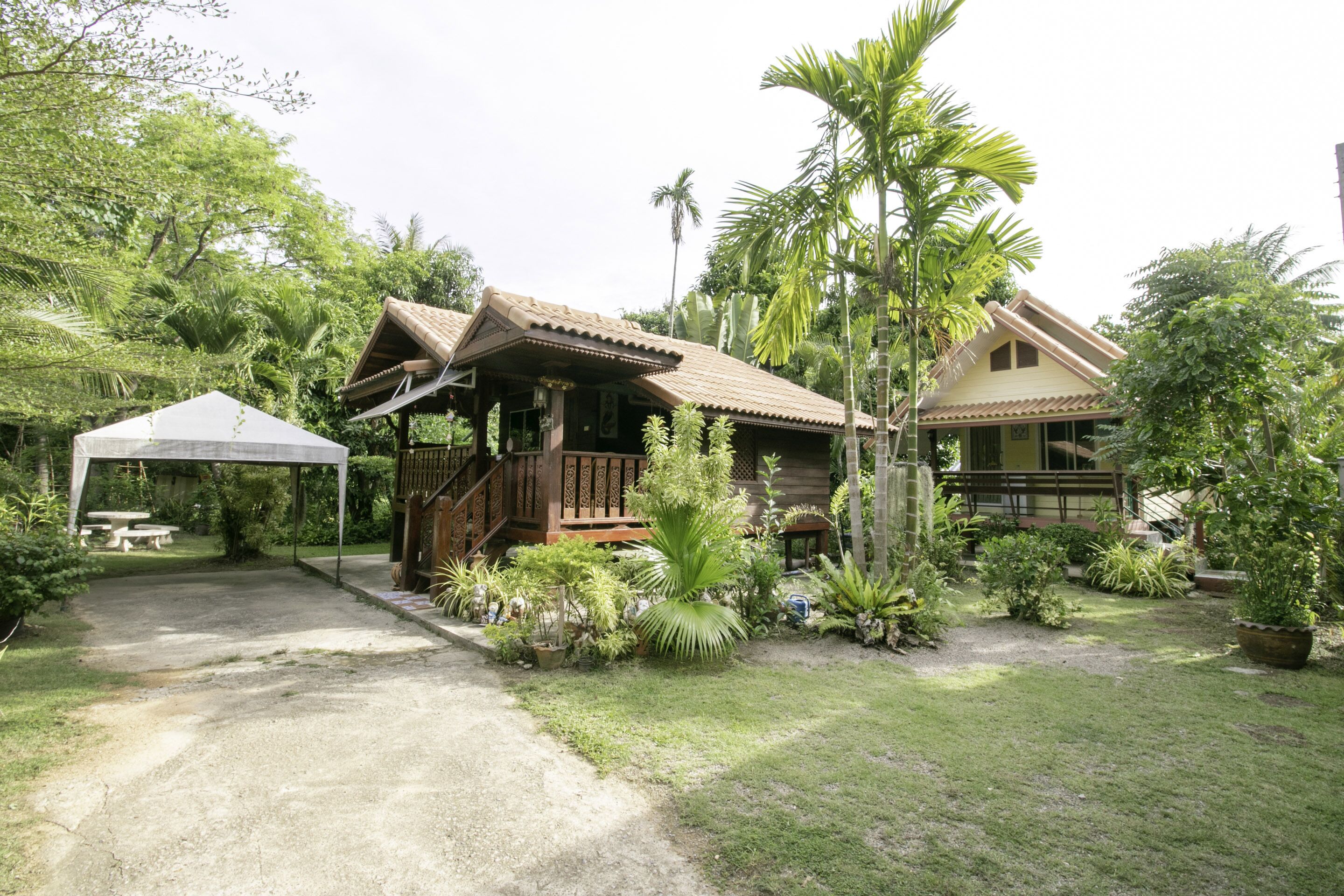 A wooden house with a porch, surrounded by lush greenery and palm trees.
